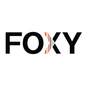 Foxy: Acne Skincare & K-Beauty