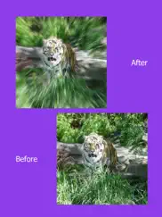 photo focus effects : blur image background айпад изображения 2