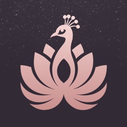 Павлин • Саранск