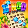 Bingo Story Live Bingo Games