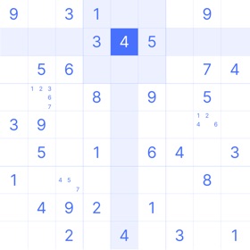 Sudoku Game Puzzle