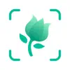 PictureThis - Plant Identifier alternatives