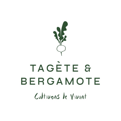 Tagete Et Bergamote