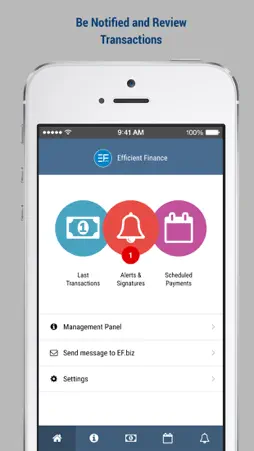 Efficient Finance screenshot 3