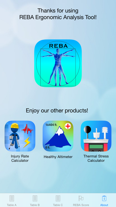 REBA Ergonomic Analysis Screenshot