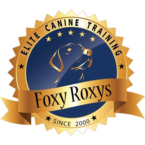 Foxy Roxys Doggy Dayout
