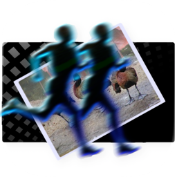 CM Batch Photo Processor