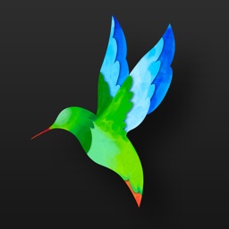 BeCasso: Filtres de Peinture