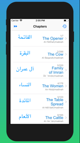 Daily Tasbeeh & Quran Tracker screenshot