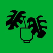 BWH Plant Co