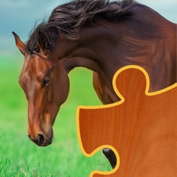 Poneys