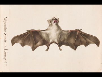 SC Museo Ciencias Naturales iPad screenshot