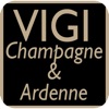 VigiCA icon