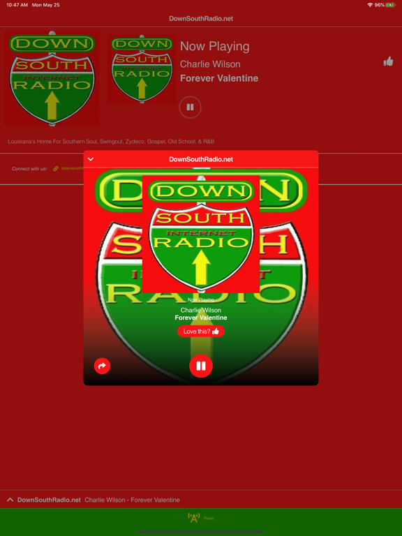 Screenshot #5 pour DownSouthRadio