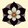 Get EchoFlower for iOS, iPhone, iPad Aso Report
