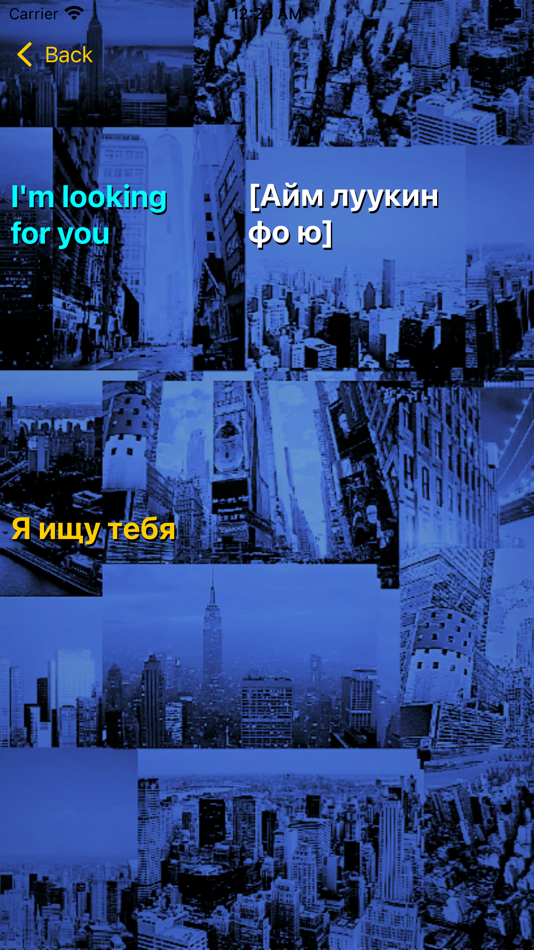 #2. MyPhraseBook (iOS) 由: Dmitry Gaponenko