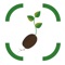 Unveil the Truth About Your Food with AI