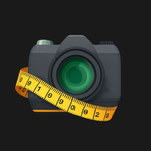 OneShot: Daily Photo Tracker