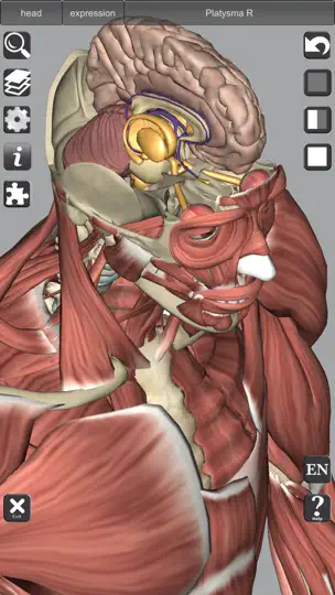 Capture d'écran de 3D Anatomy Learning sur iPhone 4