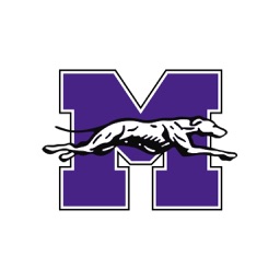 MPS Whippets