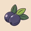 Inkberry Wedding Planner icon