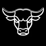 Bulltz | AI Fitness - App Icon