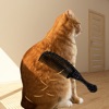 App icon for Brush Orange Cat Challenge