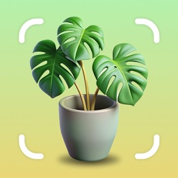 Plantity: Plant Identification
