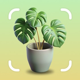 Plantity: Plant Identification