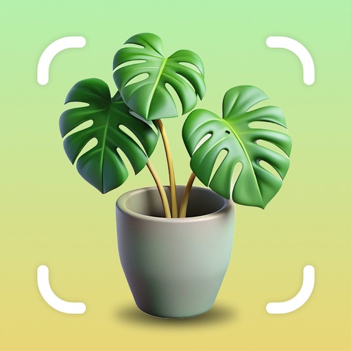 Plantity: Plant Identification