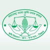 MSAMB icon