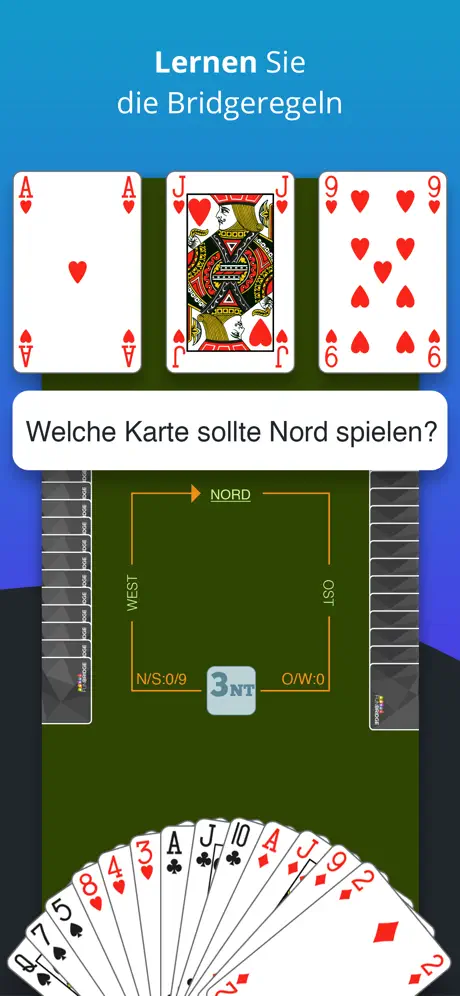 Fun Bridge