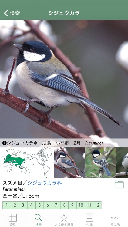 日本の野鳥（山溪ハンディ図鑑）