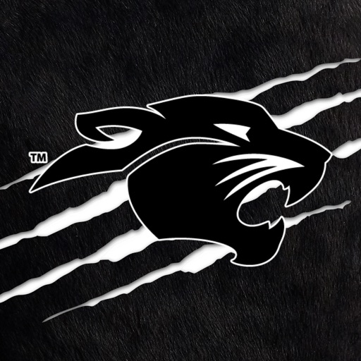 Pickerington Athletics