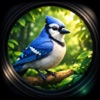 Urban Flock Log icon
