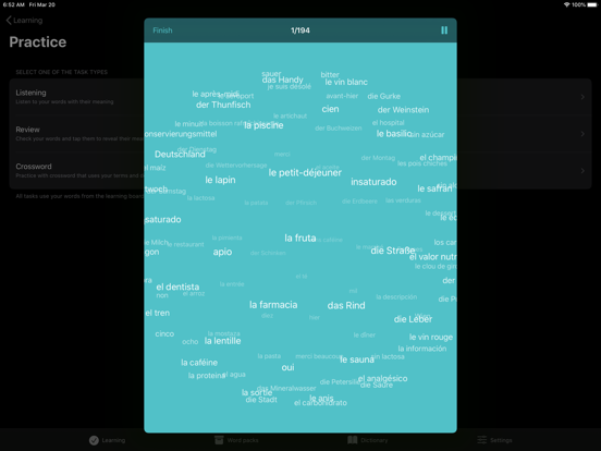Vocab Tool iPad screenshot 6 - Education app