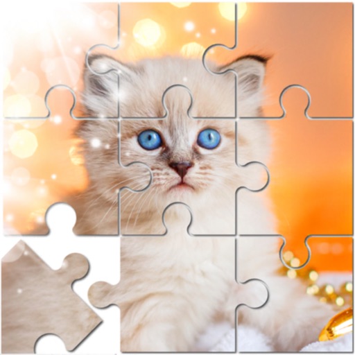 Jigsaw Puzzle Mind Games icon