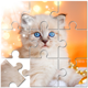 Jigsaw Puzzle Mind Games