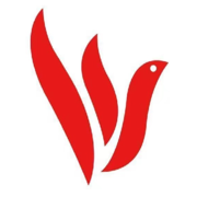 青鸽网探视