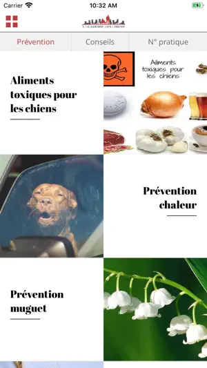 L'Académie Des Chiens screenshot 3