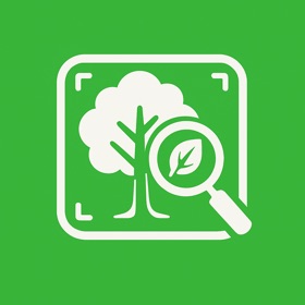 TreeAI - Tree Identification