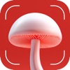 Fungi Mushroom: 1秒キノコ図鑑 - iPhoneアプリ
