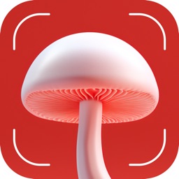 Mushroom Identification: Fungi