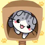 Cat Condo 2