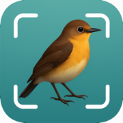 Bird Song Identifier UK, Photo