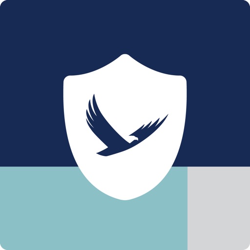 IB TreasuryONE Security