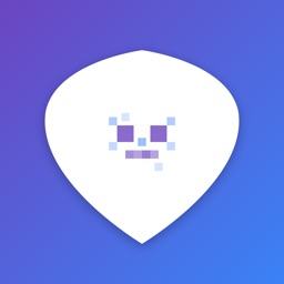 Pixel Privacy