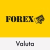 FOREX Currency icon