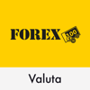 FOREX Valuta - FOREX Bank