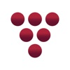 HiddenWines icon